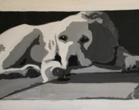 Conti, Portrait d'un jeune Chien 